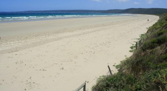 Waratah Beach