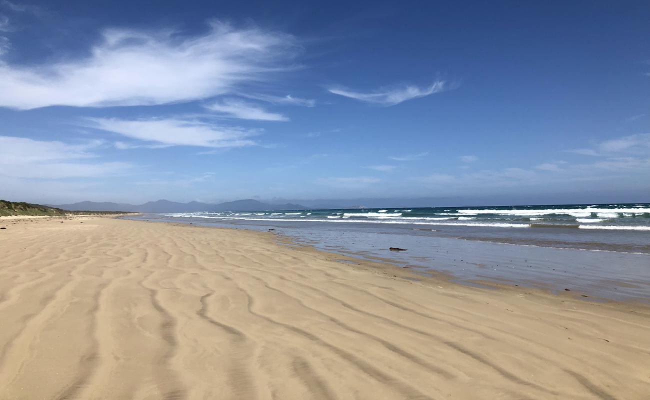 Waratah Shallow Beach'in fotoğrafı açık bej kum yüzey ile