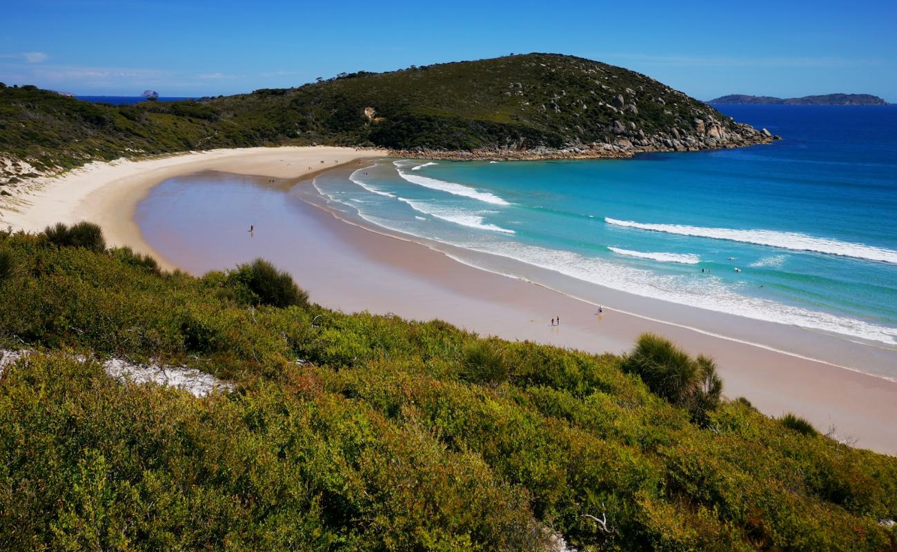 Picnic Bay Beach'in fotoğrafı parlak ince kum yüzey ile