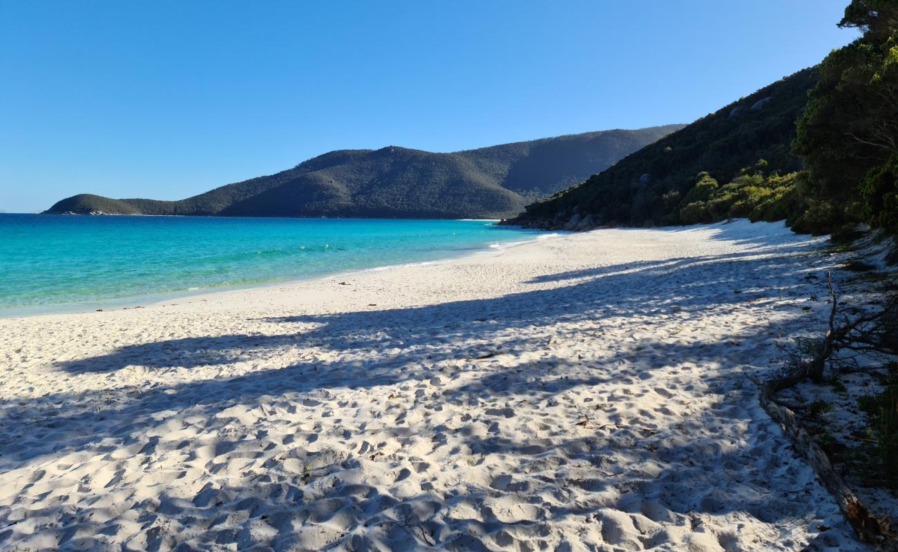 Little Waterloo Bay Beach'in fotoğrafı parlak ince kum yüzey ile