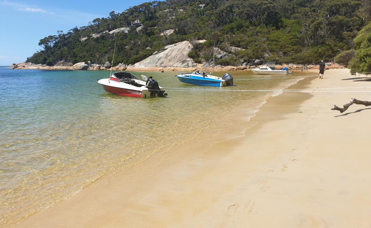 Refuge Cove Beach'in fotoğrafı i̇nce bej kum yüzey ile