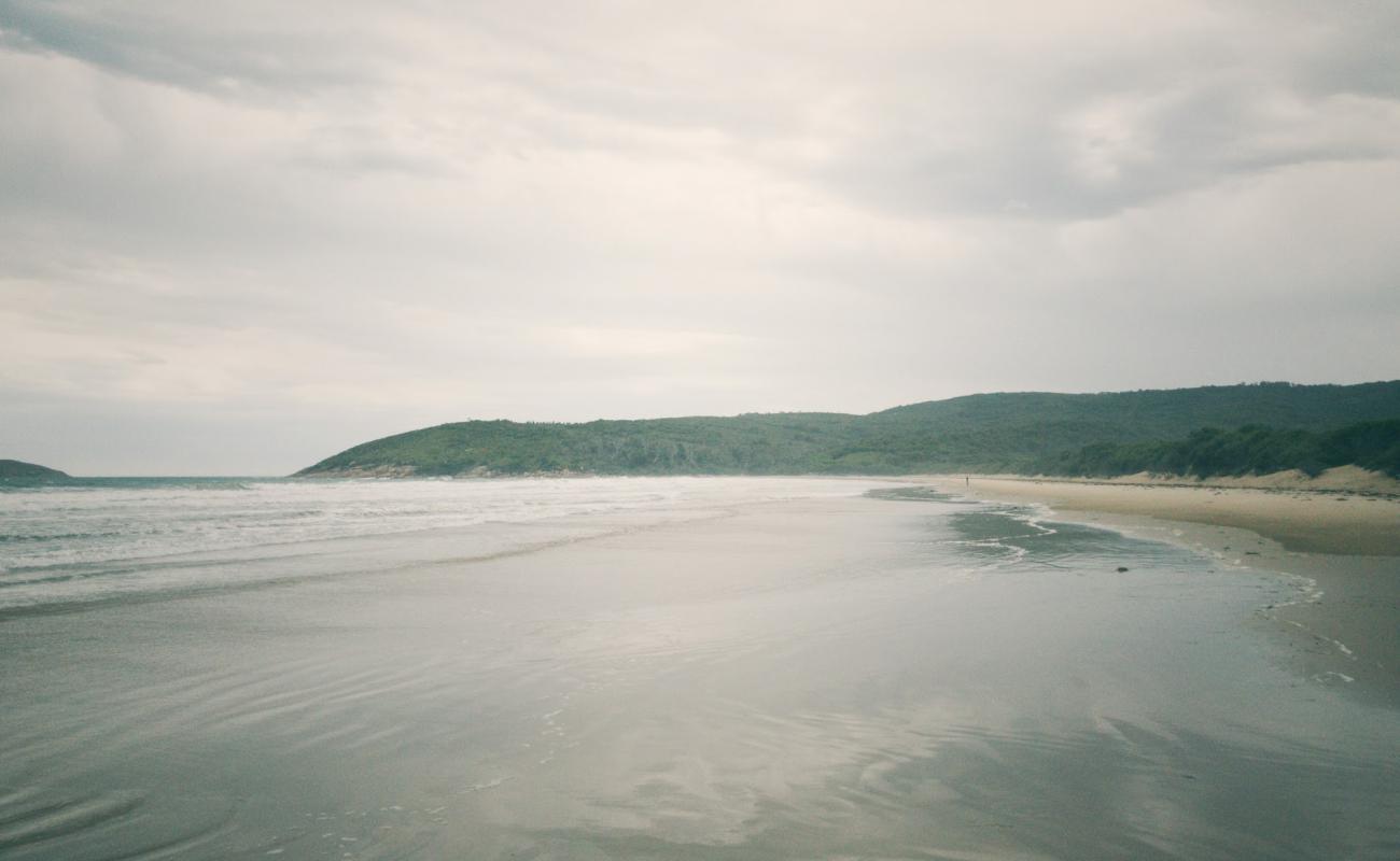 Johnny Souey Cove Beach'in fotoğrafı açık bej kum yüzey ile