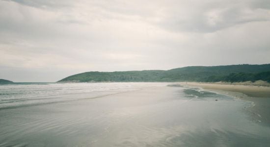 Johnny Souey Cove Beach