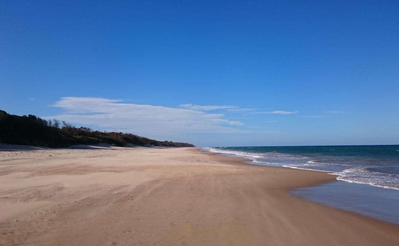 Mcloughlins Beach'in fotoğrafı parlak ince kum yüzey ile