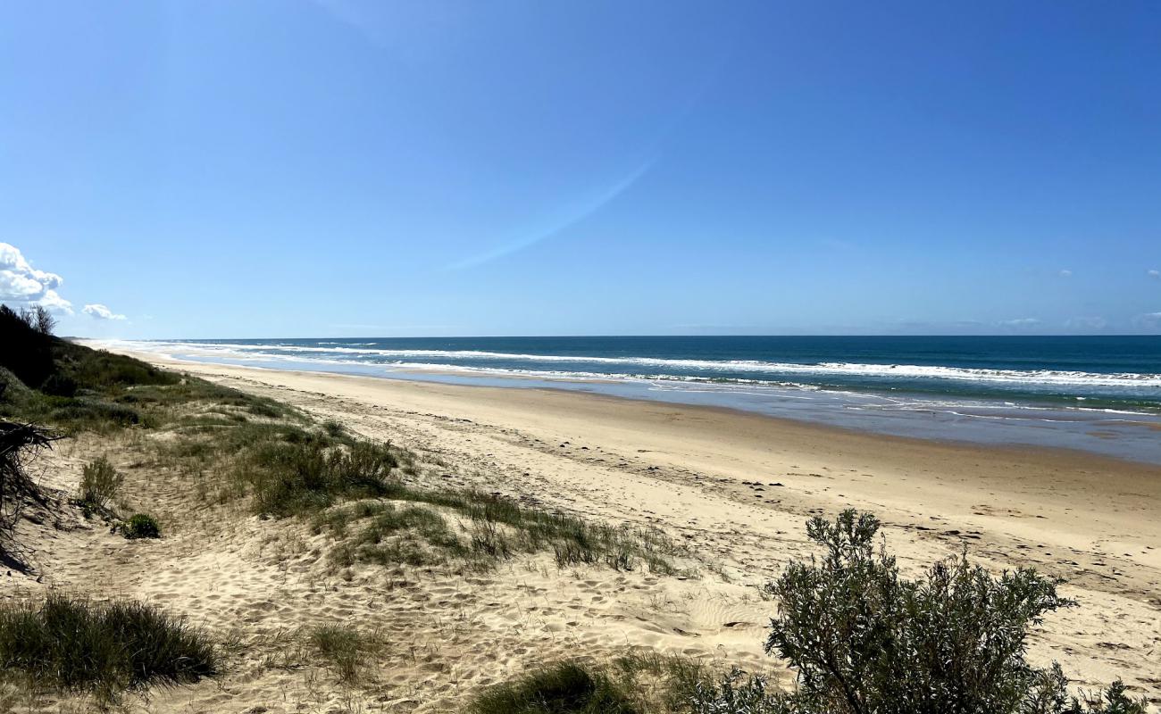 Reeves Beach'in fotoğrafı parlak ince kum yüzey ile