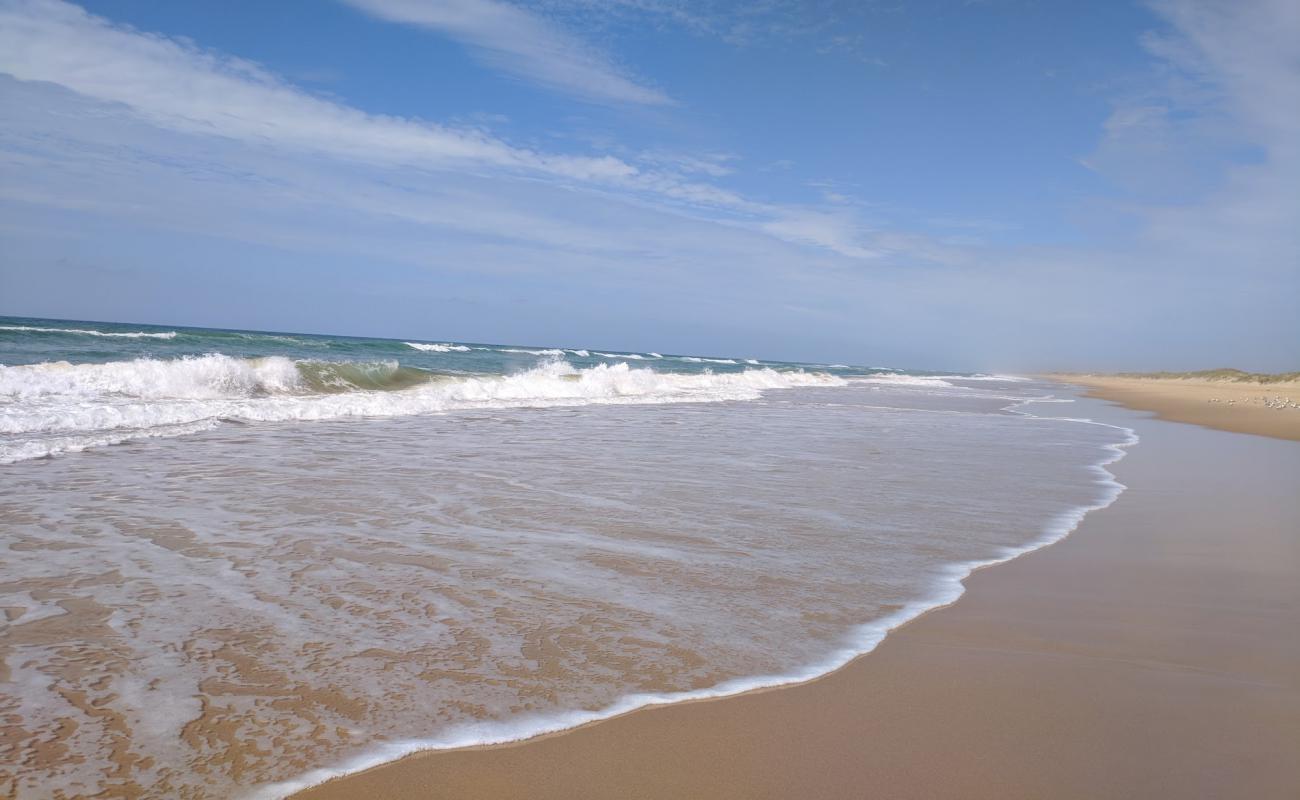 McGauran Beach'in fotoğrafı parlak kum yüzey ile