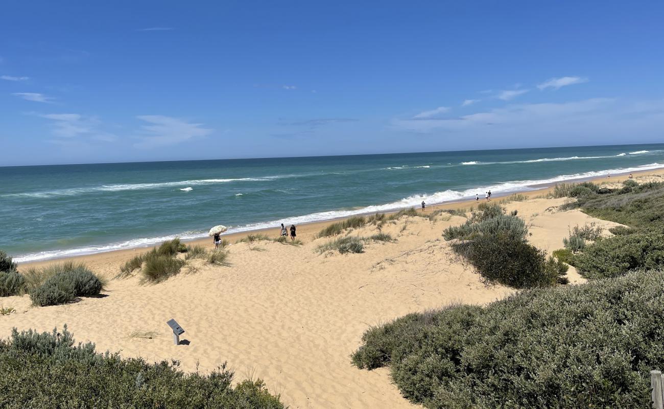 Golden Beach'in fotoğrafı parlak kum yüzey ile