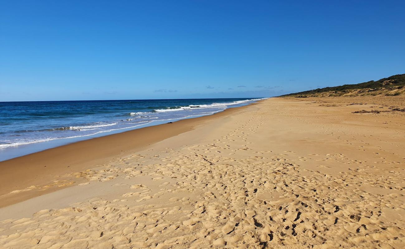 Ninety Mile Beach'in fotoğrafı parlak ince kum yüzey ile