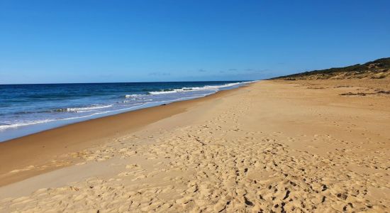 Ninety Mile Beach