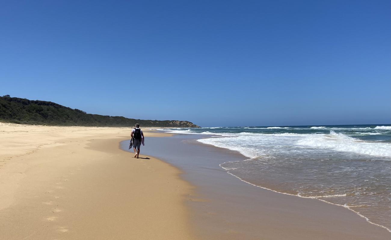 Shelly Beach'in fotoğrafı i̇nce bej kum yüzey ile