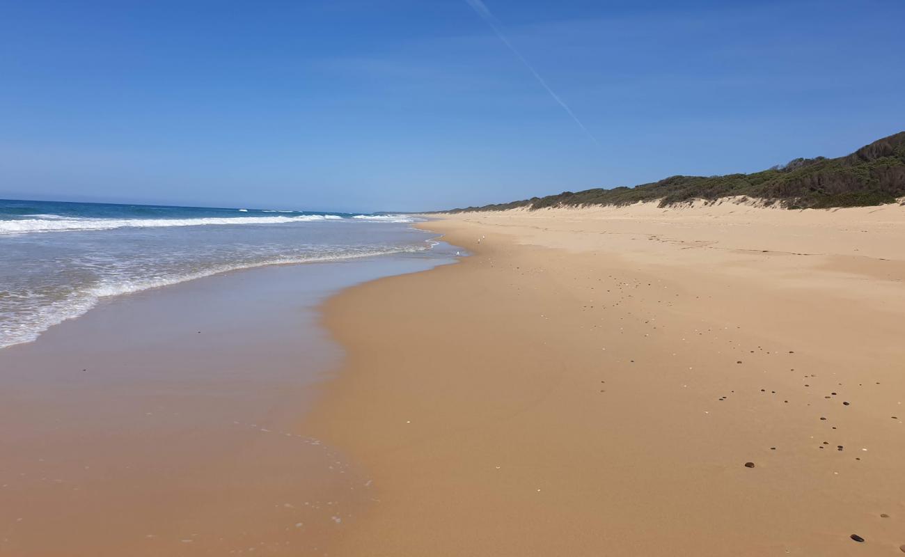 Pettmans Beach'in fotoğrafı açık bej kum yüzey ile