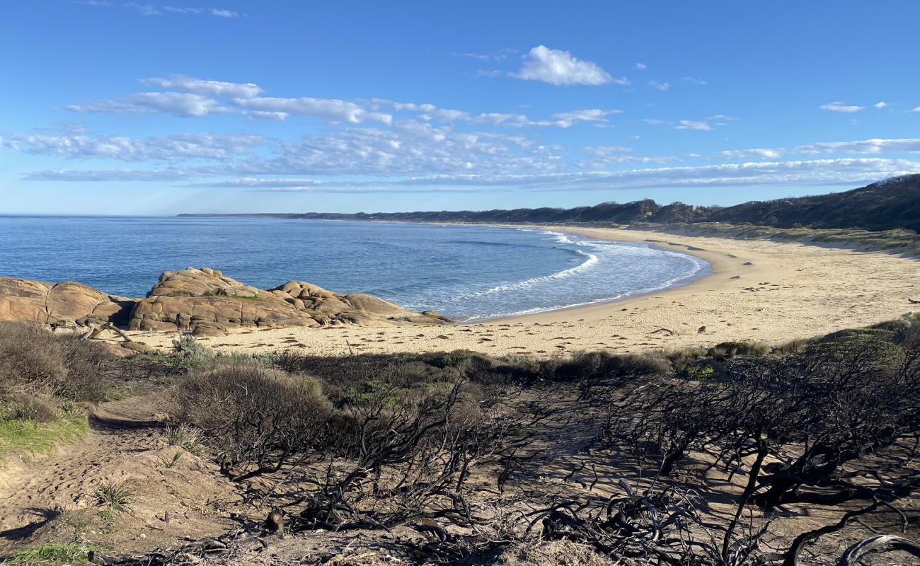 Salmon Beach'in fotoğrafı parlak ince kum yüzey ile