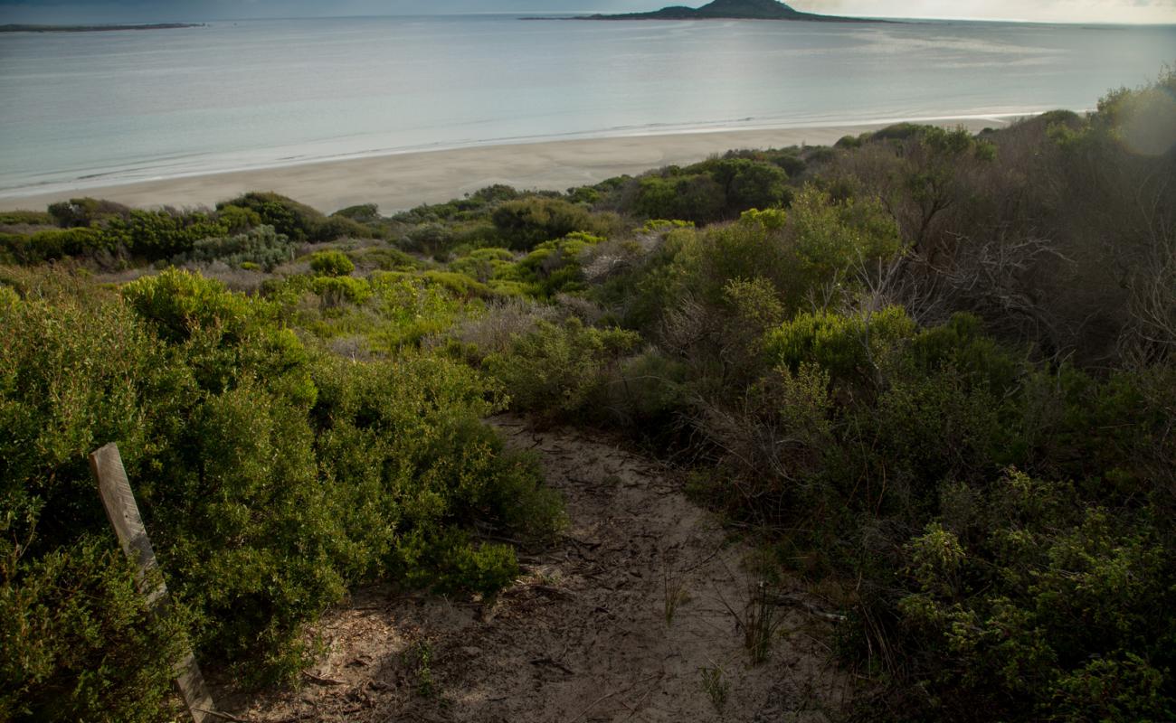 West End Beach'in fotoğrafı açık bej kum yüzey ile