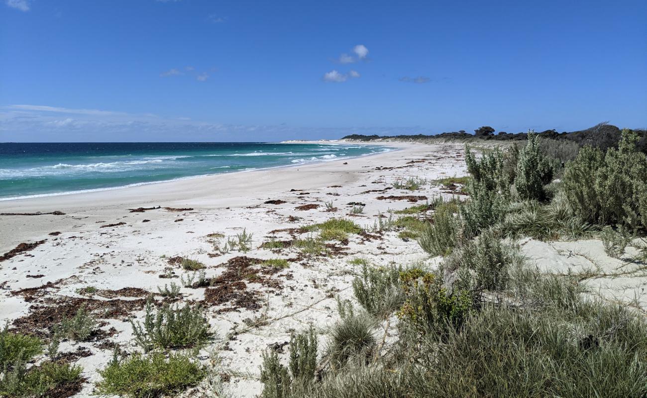 Mount William Beach'in fotoğrafı beyaz kum yüzey ile