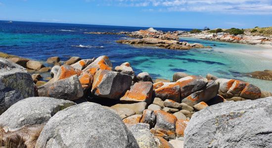 Gardens Lagoon Beach