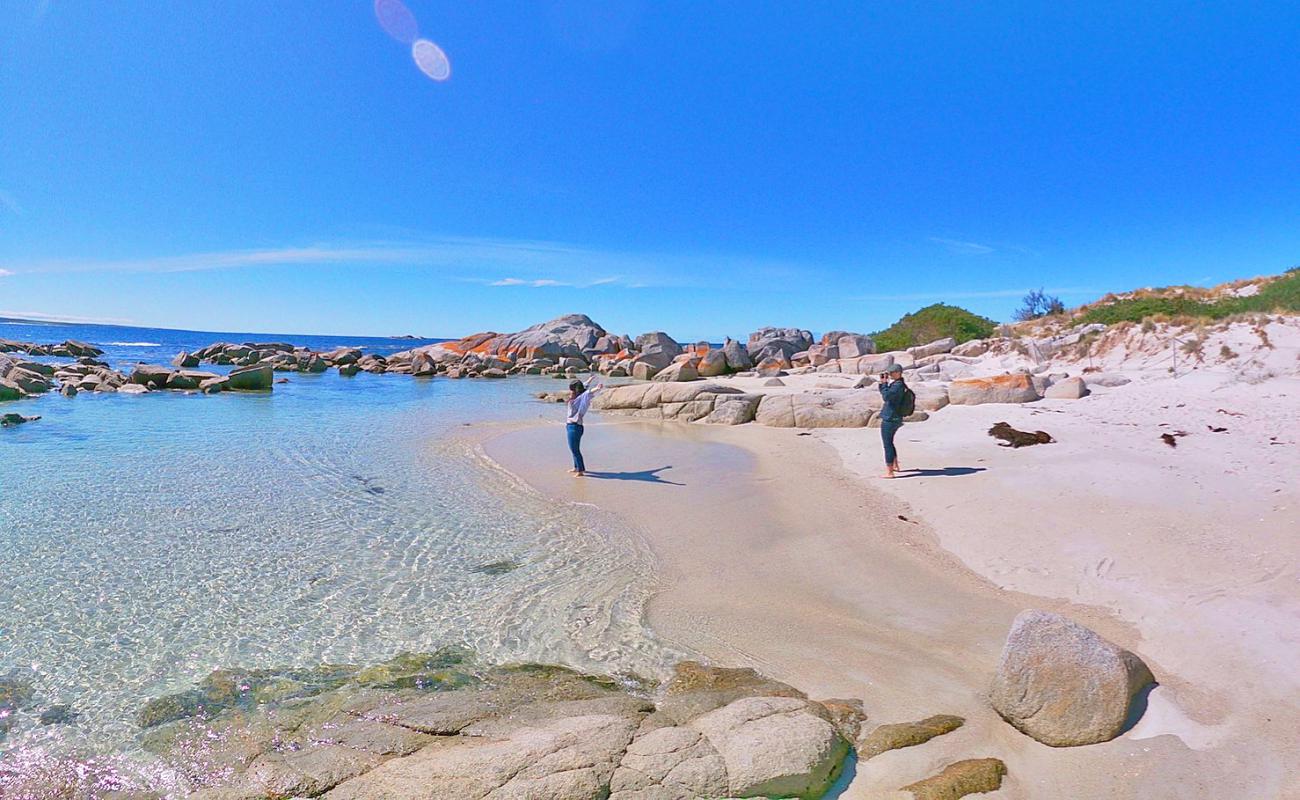 Koala Rock Beach'in fotoğrafı beyaz kum yüzey ile