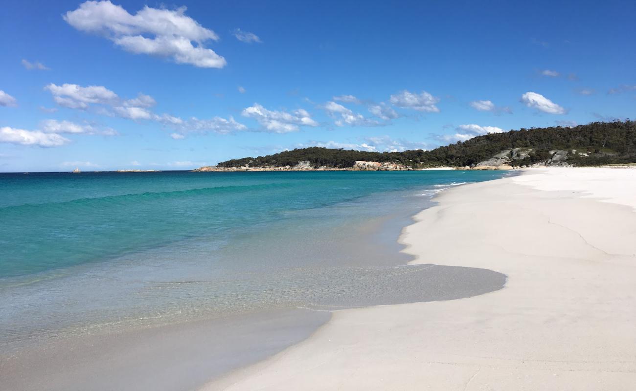 Taylors Beach'in fotoğrafı beyaz ince kum yüzey ile