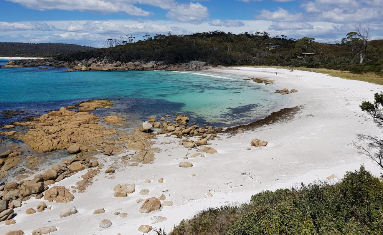 Jeanneret Campsite Beach'in fotoğrafı beyaz kum yüzey ile