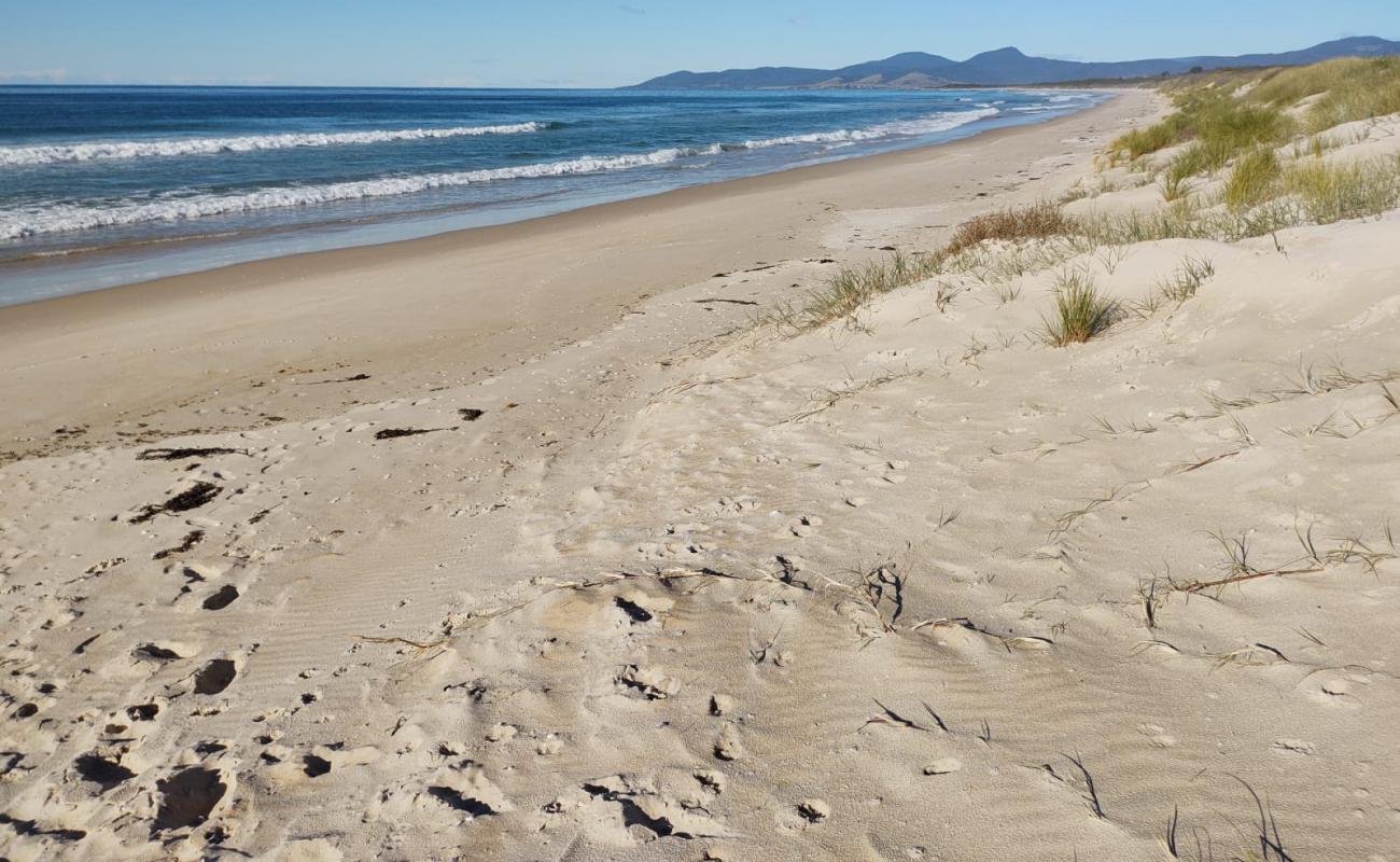 Beaumaris Beach'in fotoğrafı parlak kum yüzey ile