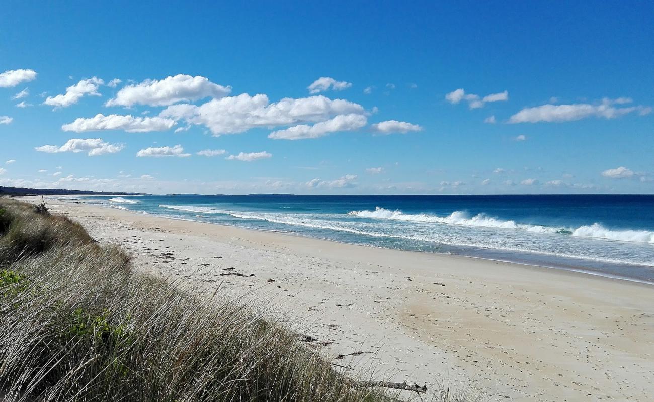 Steels Beach'in fotoğrafı parlak kum yüzey ile