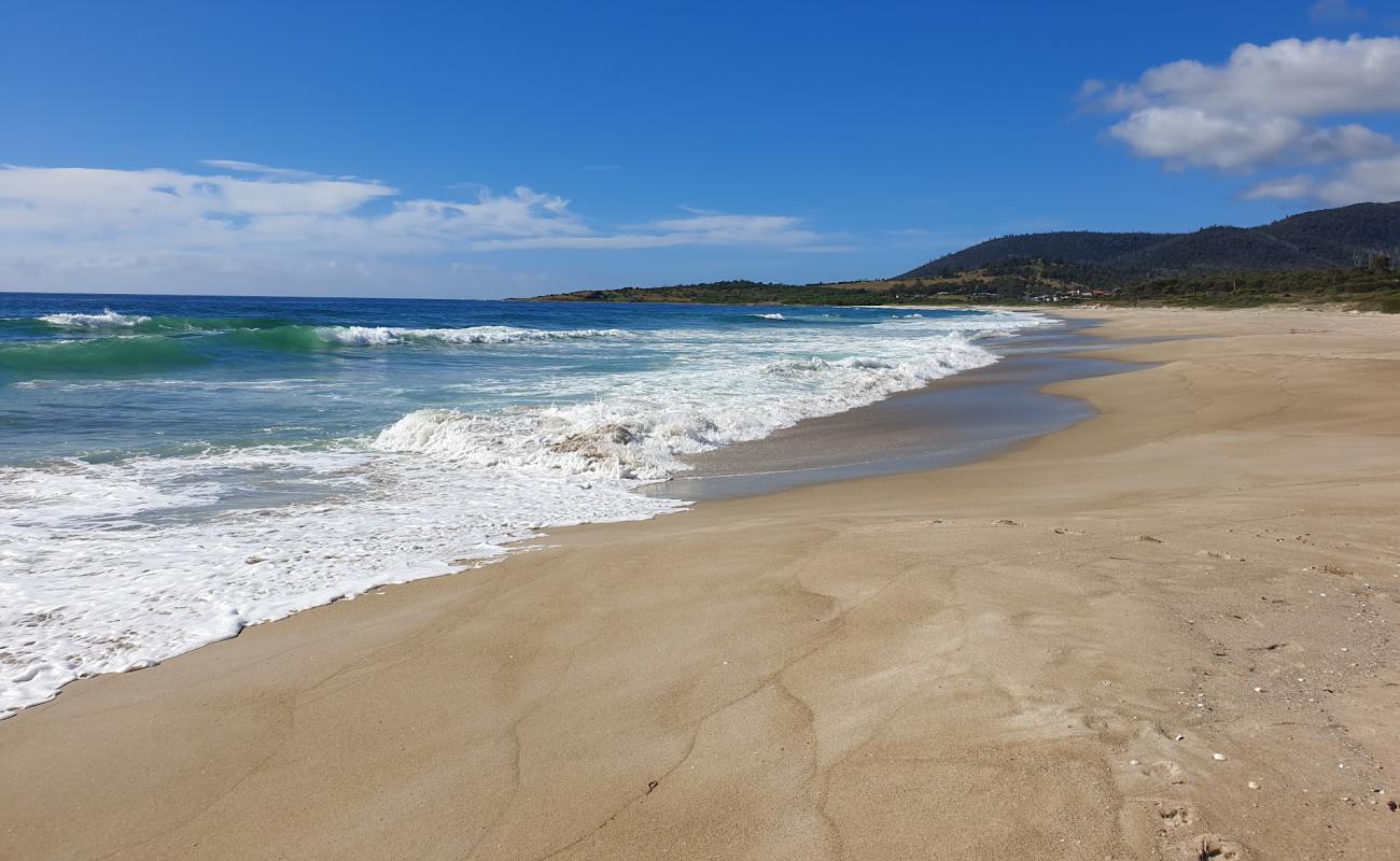 Four Mile Creek Beach'in fotoğrafı parlak kum yüzey ile