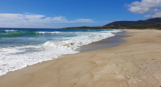 Four Mile Creek Beach