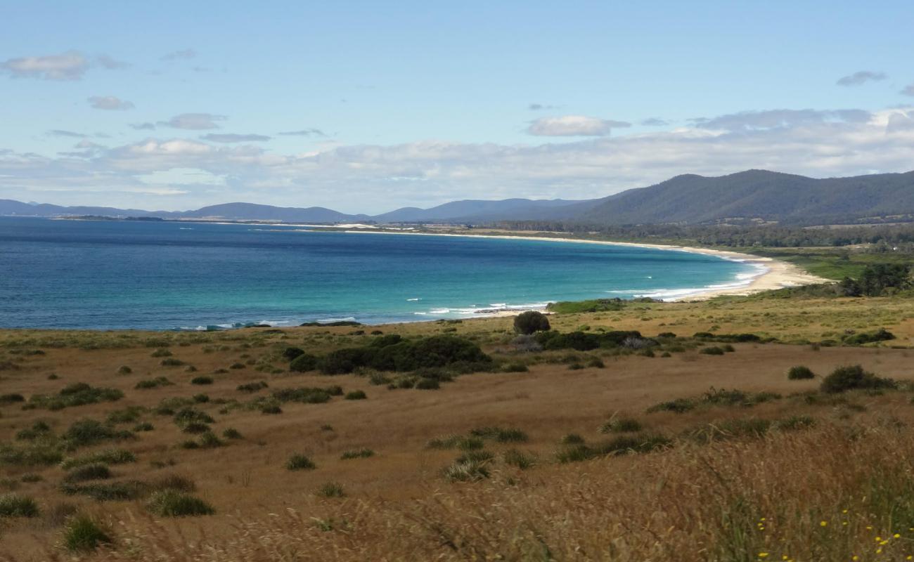 Seymour Beach'in fotoğrafı parlak kum yüzey ile