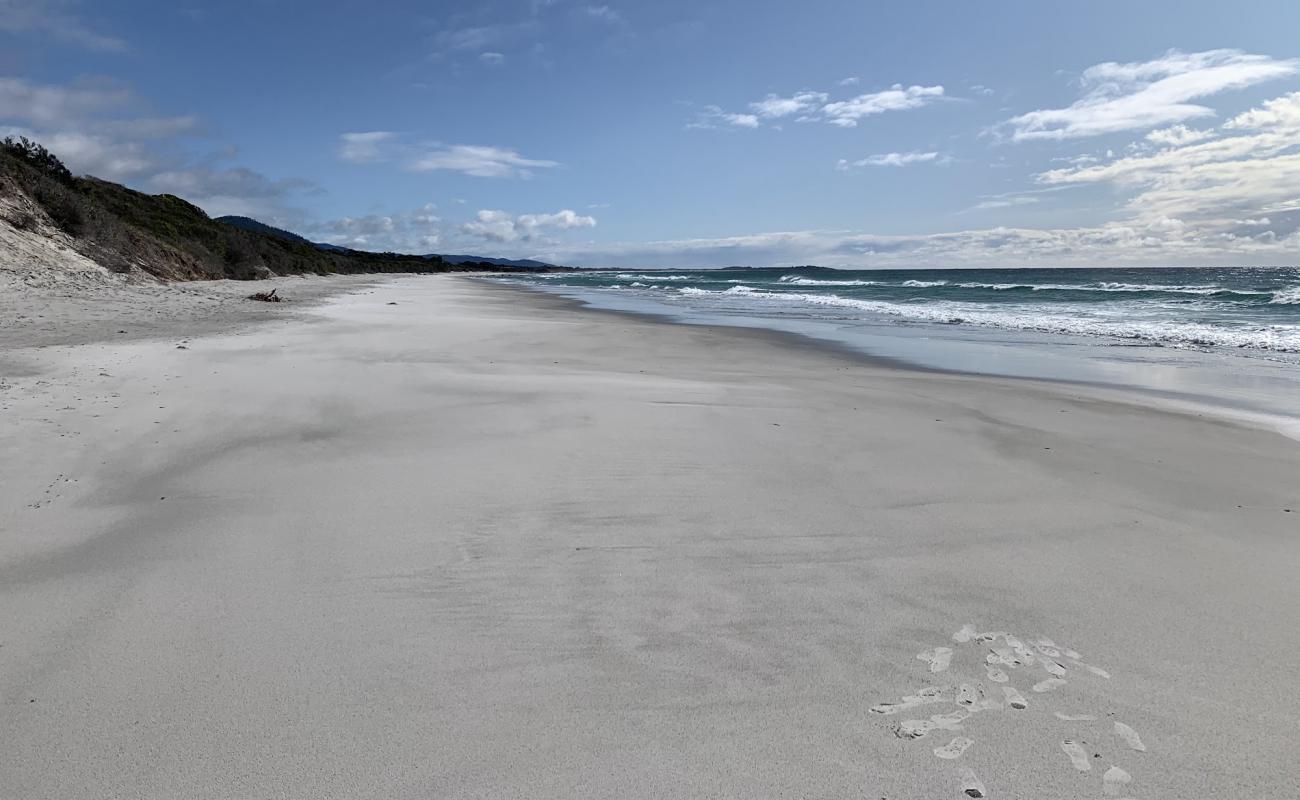 Denison Beach'in fotoğrafı beyaz kum yüzey ile