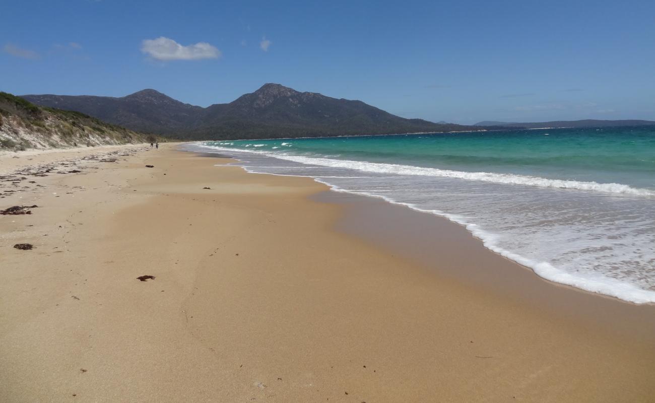 Cooks Beach'in fotoğrafı parlak kum ve kayalar yüzey ile