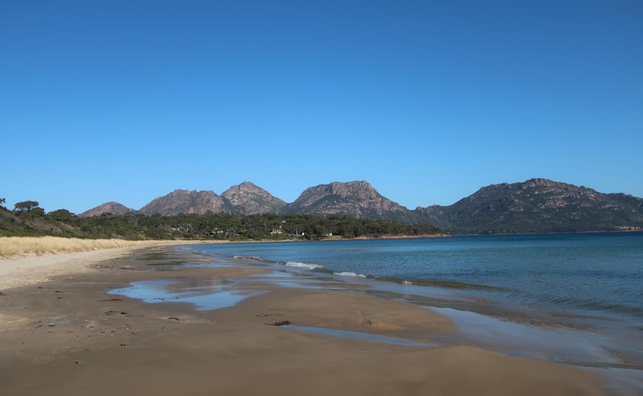 Muirs Beach'in fotoğrafı parlak kum yüzey ile