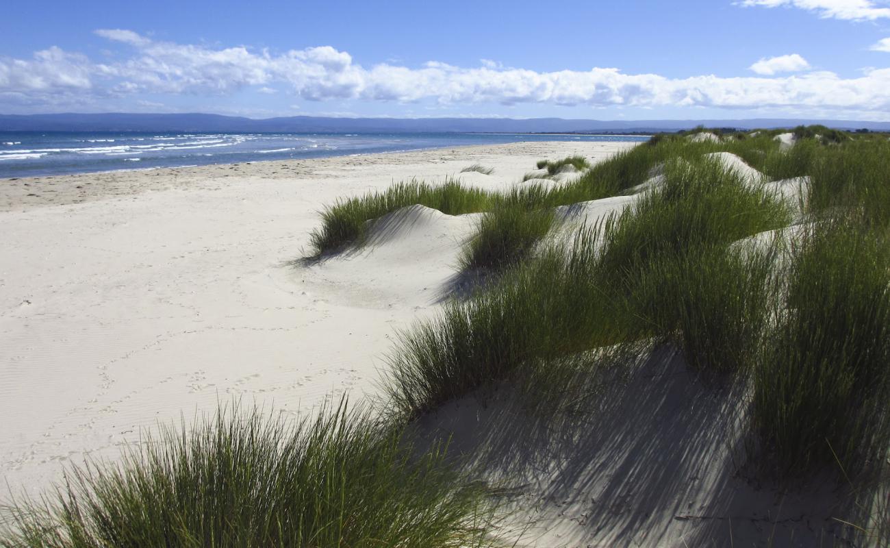 Sandpiper Beach'in fotoğrafı parlak kum yüzey ile