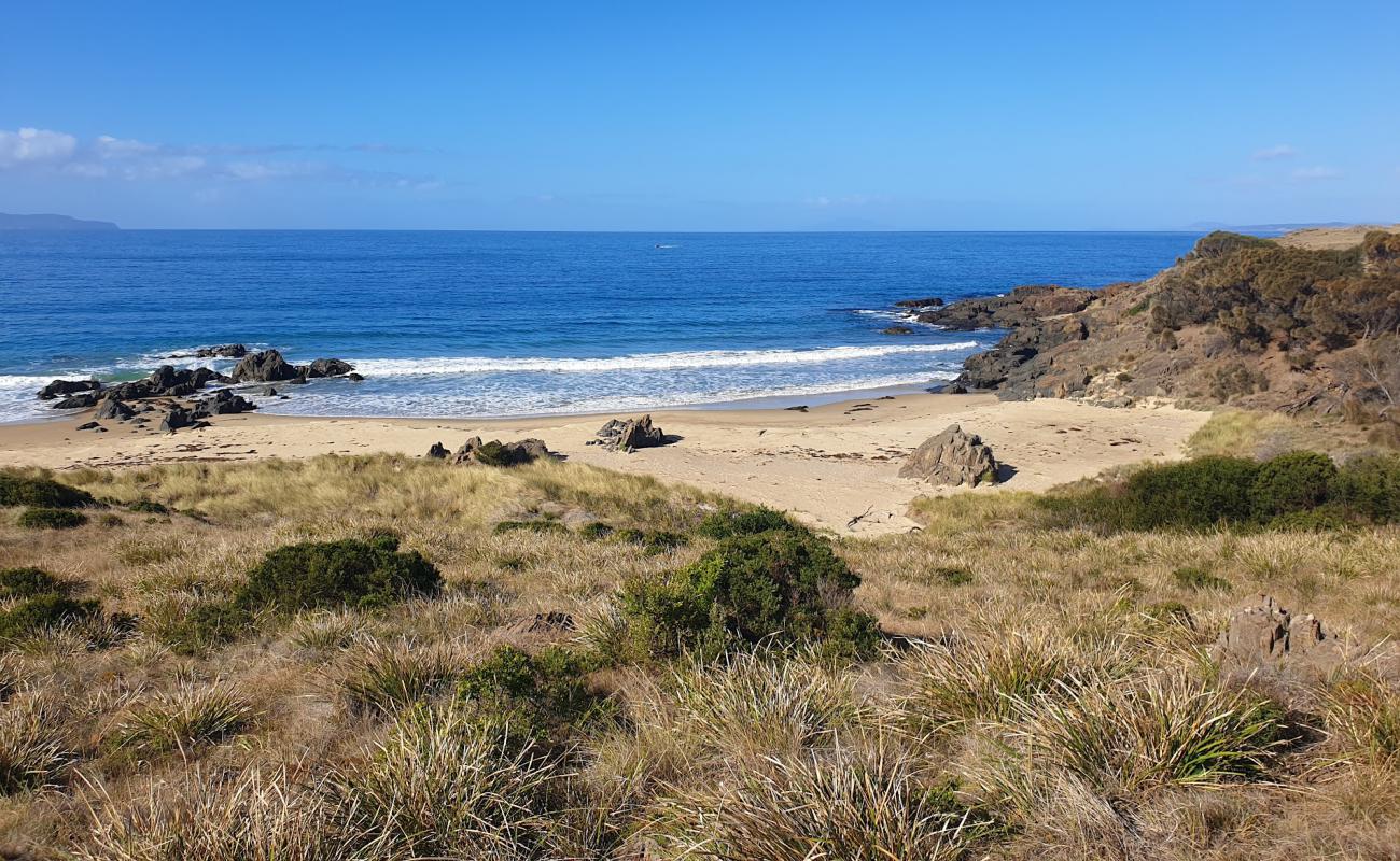 Cressy Beach'in fotoğrafı çakıl ile kum yüzey ile