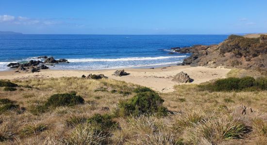 Cressy Beach