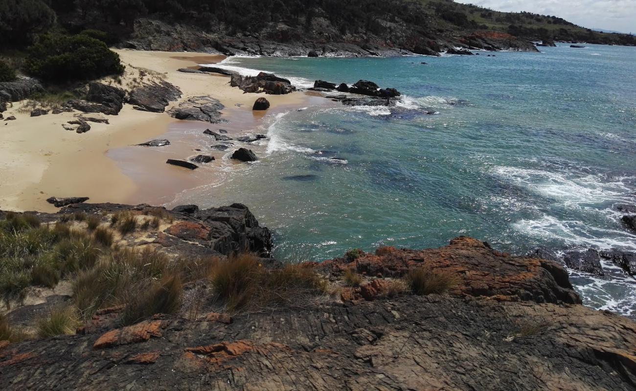 Spiky Beach'in fotoğrafı parlak kum yüzey ile