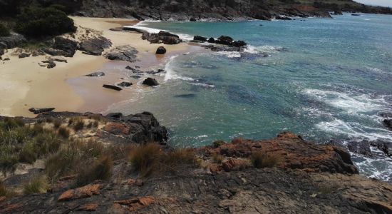 Spiky Beach