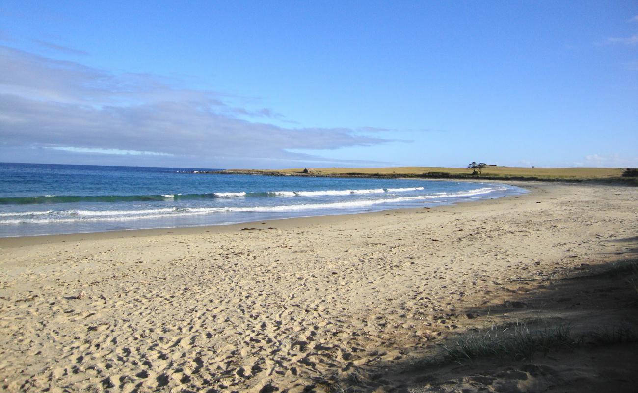 Kelvedon Beach'in fotoğrafı parlak kum yüzey ile