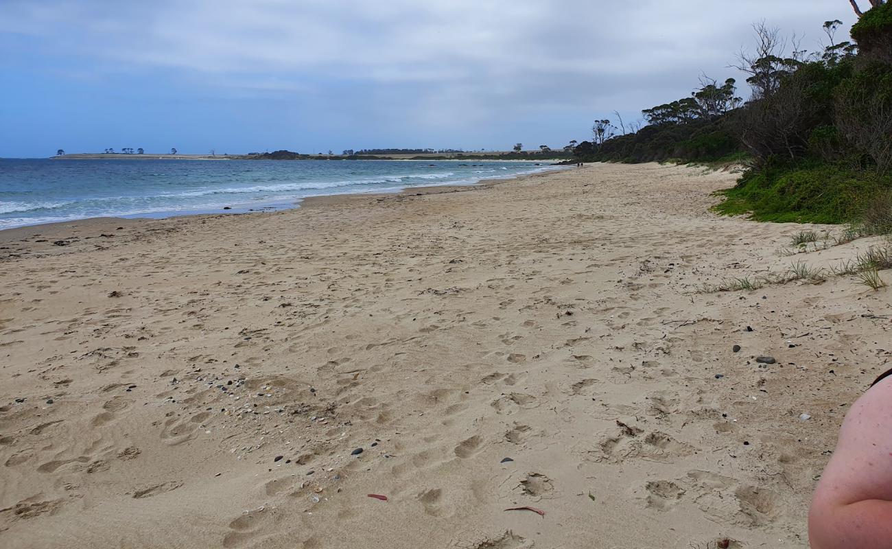 Mayfield Beach'in fotoğrafı parlak kum yüzey ile