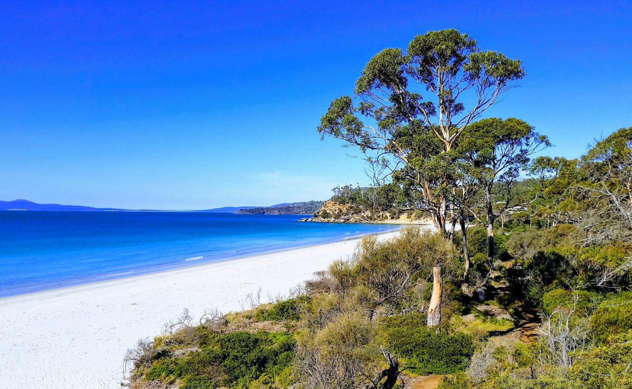 Stapleton Beach'in fotoğrafı parlak kum yüzey ile