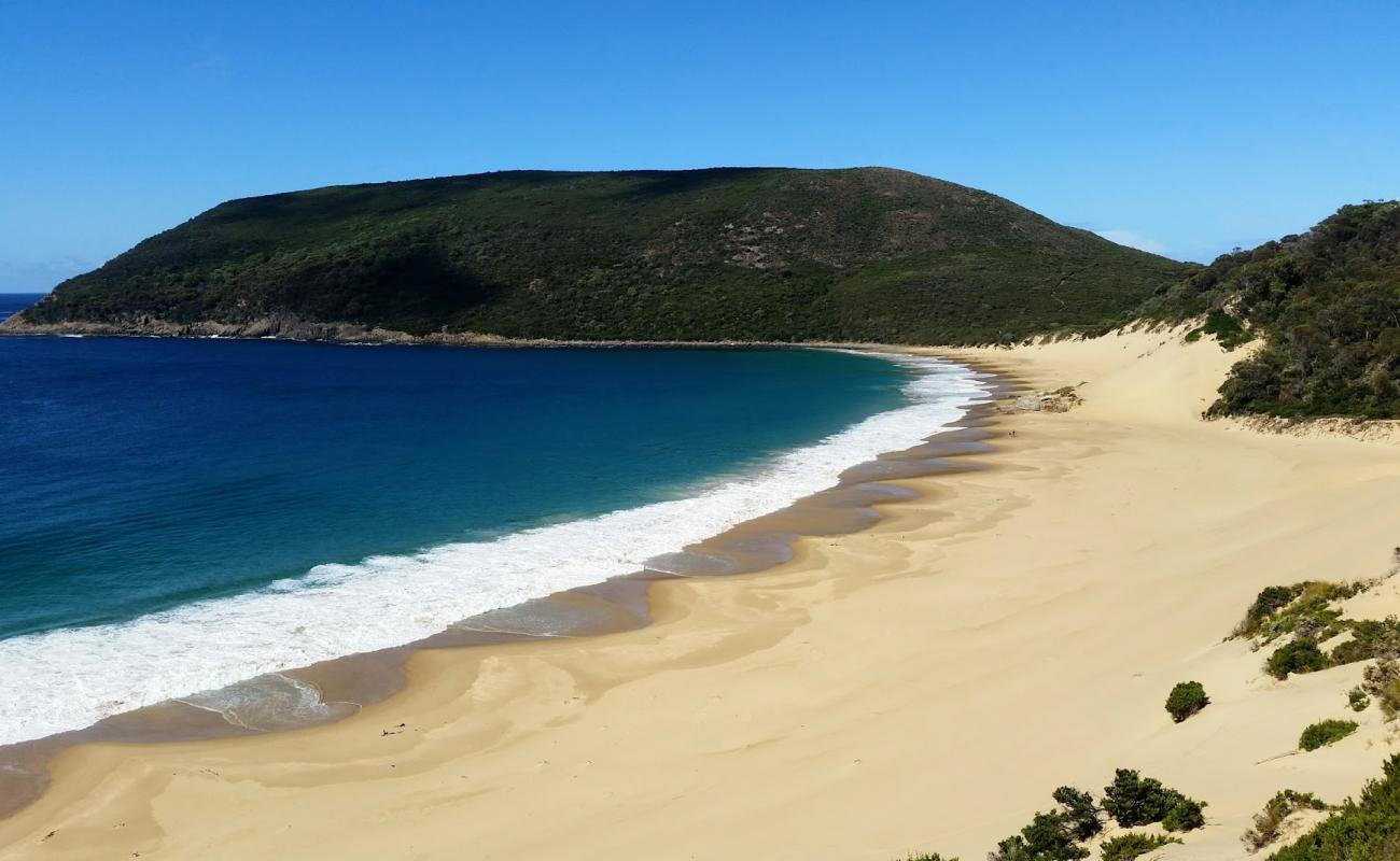 Cape Pillar Beach'in fotoğrafı i̇nce bej kum yüzey ile