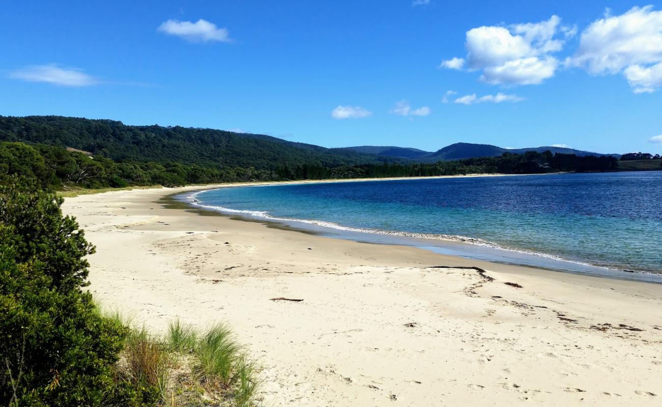 Safety Cove Beach'in fotoğrafı i̇nce bej kum yüzey ile