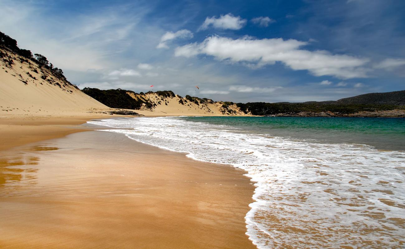 Crescent Bay Beach'in fotoğrafı parlak ince kum yüzey ile