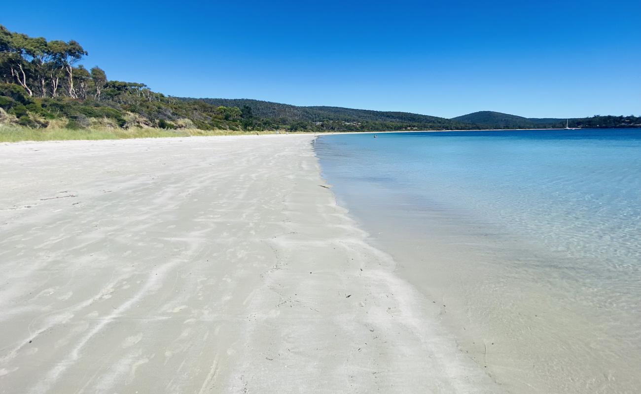 White Beach'in fotoğrafı açık bej kum yüzey ile