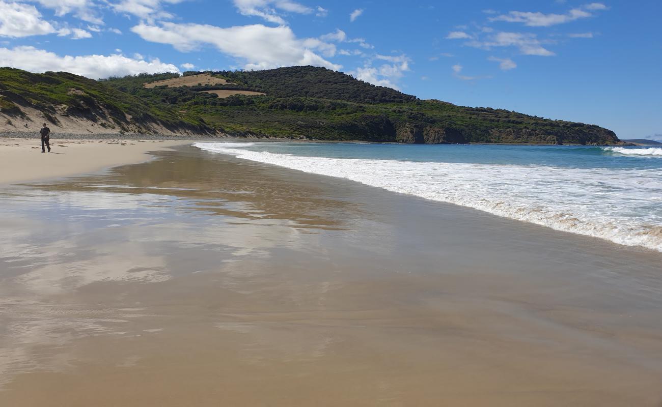 Roaring Beach Beach'in fotoğrafı küçük bej çakıl yüzey ile