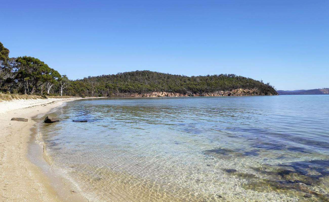 Sloping Main Beach'in fotoğrafı parlak kum yüzey ile