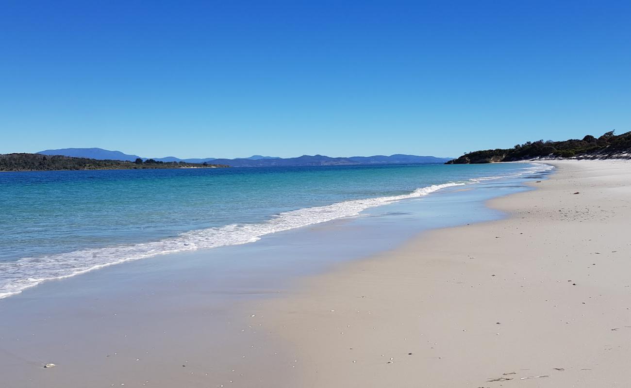 Lagoon Beach'in fotoğrafı parlak kum yüzey ile