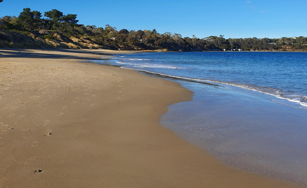 Blue Lagoon Beach'in fotoğrafı parlak kum yüzey ile