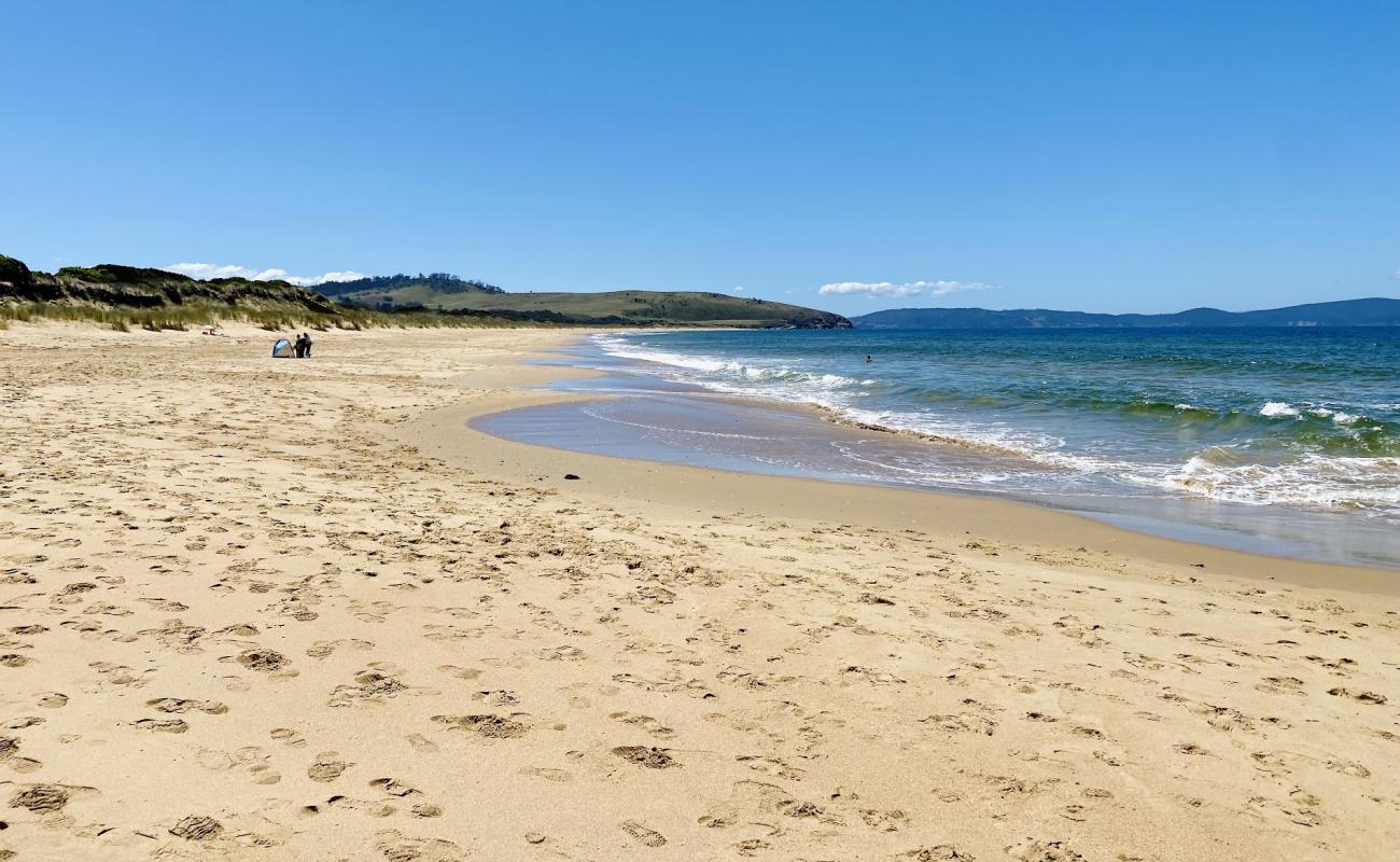 Goat's Beach'in fotoğrafı parlak kum yüzey ile