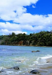 Kingborough Konseyi