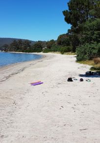 Kingborough Konseyi