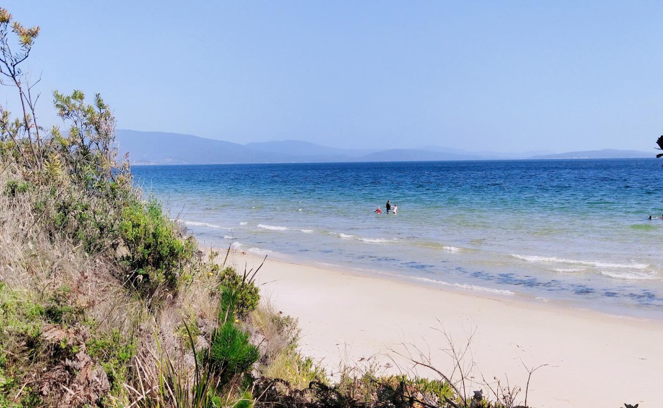 Ninepin Point Beach'in fotoğrafı açık bej kum yüzey ile